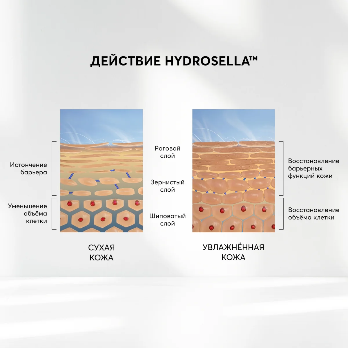 Skinjestique Увлажняющая маска для упругости кожи Skinjestique Hydrating Queen Mask